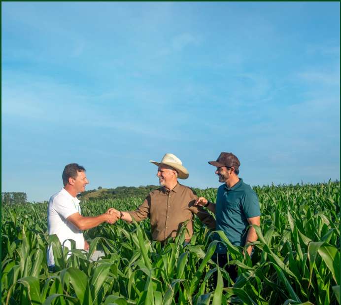 Sicredi segue na liderança para concessão de crédito via FCO