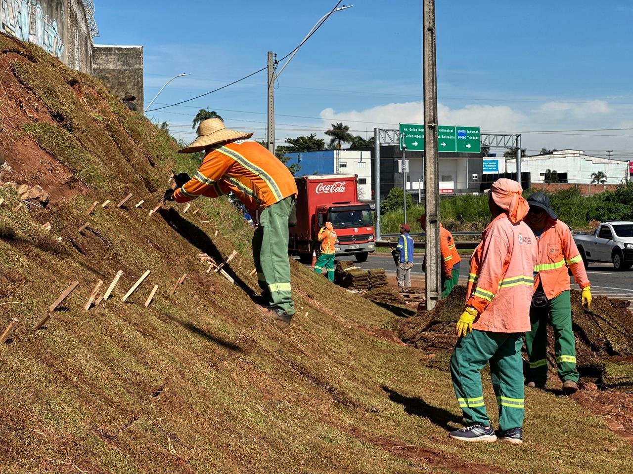 Comurg inicia recomposição de 4 mil m² de gramado na Marginal Botafogo