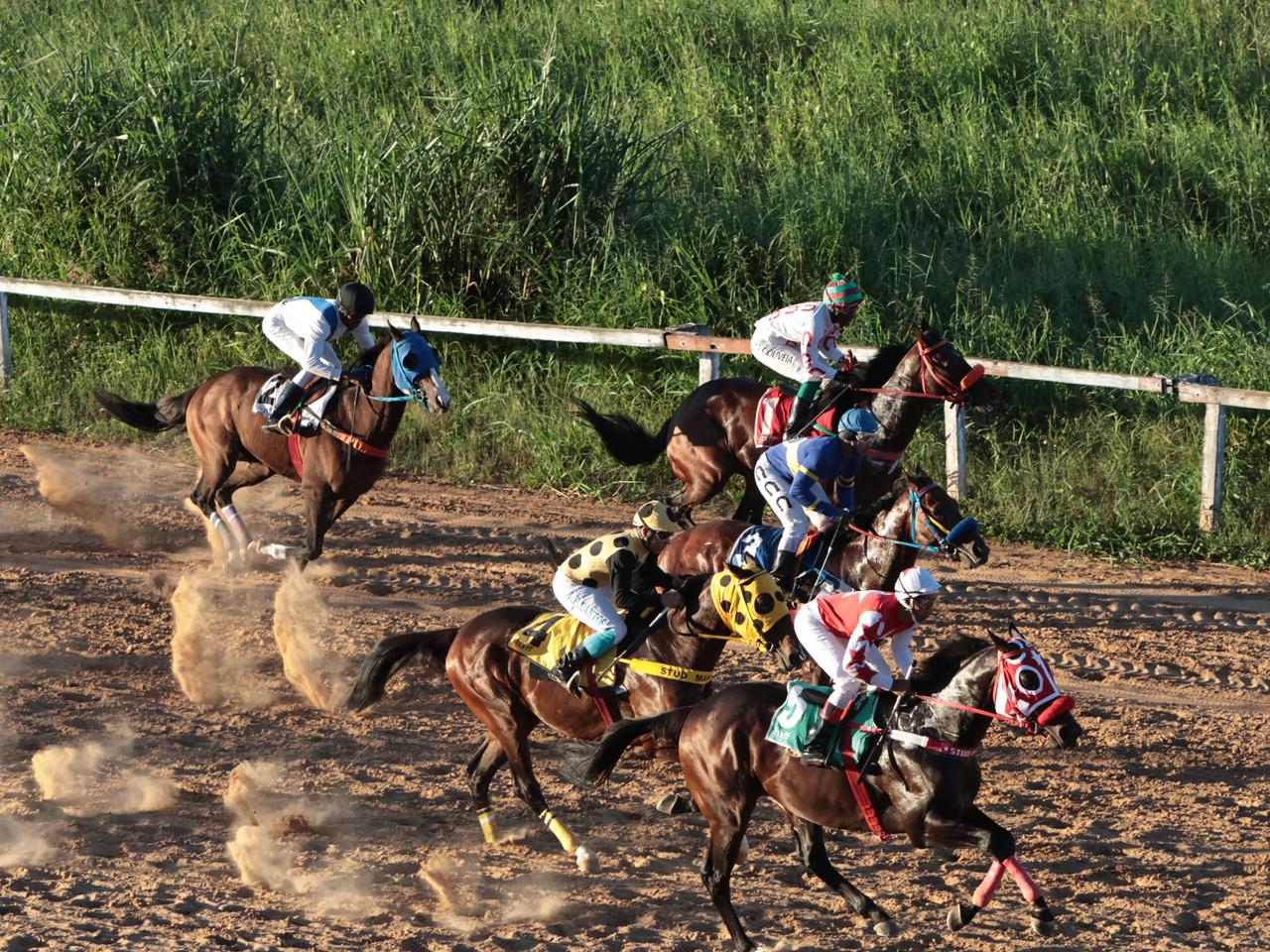 Com recorde de público no fim de semana, Hipódromo planeja nova edição de corrida de cavalos para abril