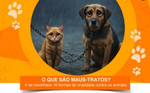 ABRIL LARANJA: Comissão Especial de Direito Animal da OAB/GO lança cartilha educativa de combate aos maus-tratos