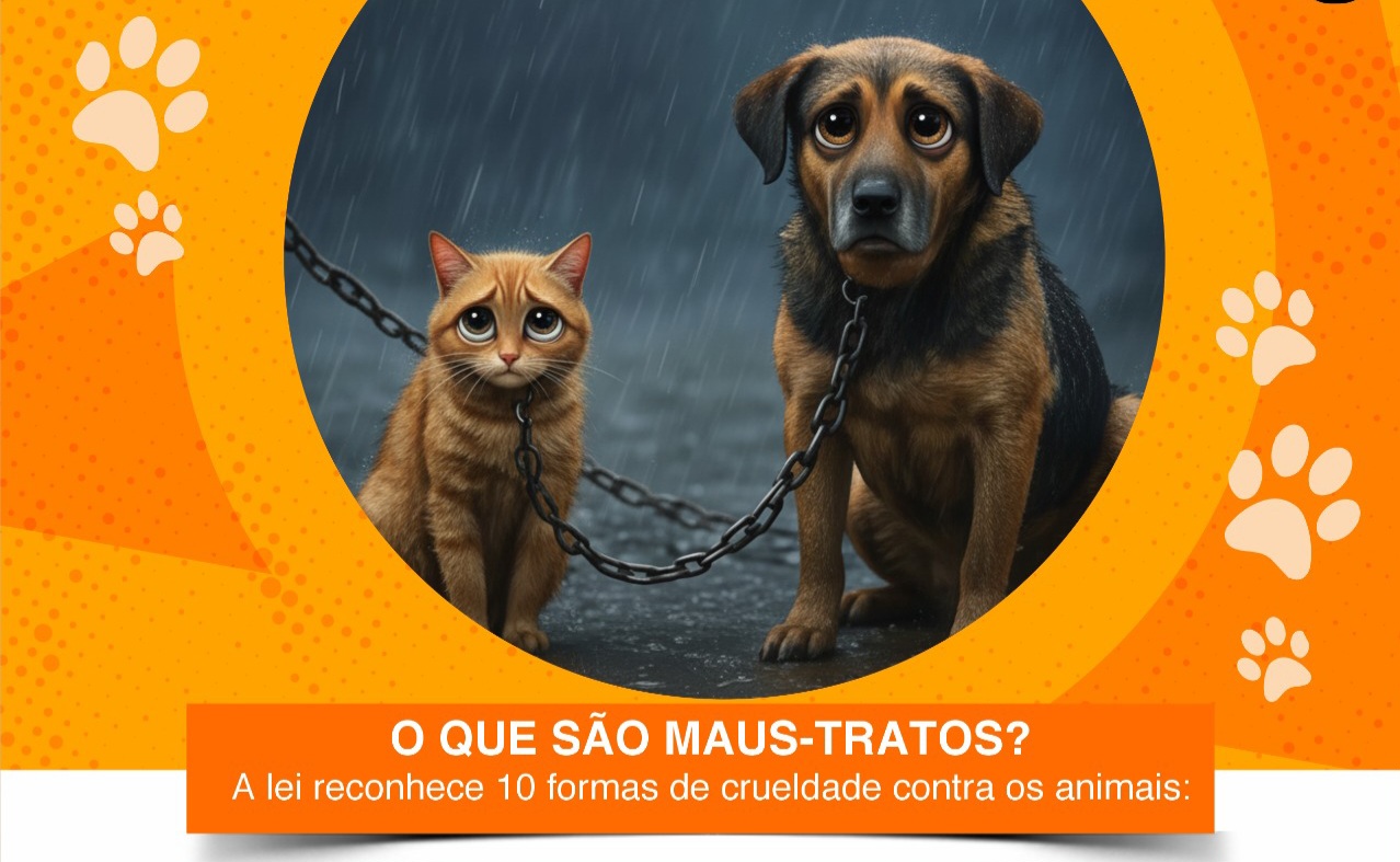 ABRIL LARANJA: Comissão Especial de Direito Animal da OAB/GO lança cartilha educativa de combate aos maus-tratos