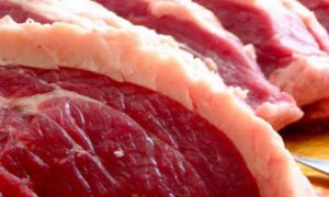 Crise sanitária na Rússia pode abrir espaço para exportações brasileiras de carne bovina