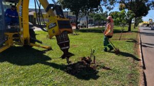 Comurg inicia retirada de raízes em calçadas e orienta população sobre solicitação do serviço