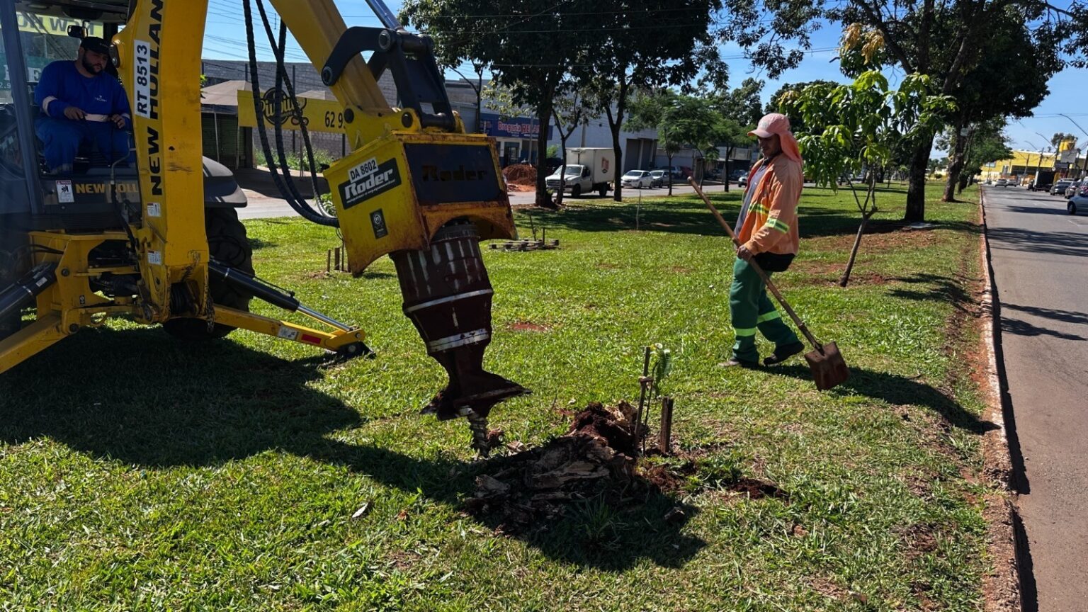 Comurg inicia retirada de raízes em calçadas e orienta população sobre solicitação do serviço