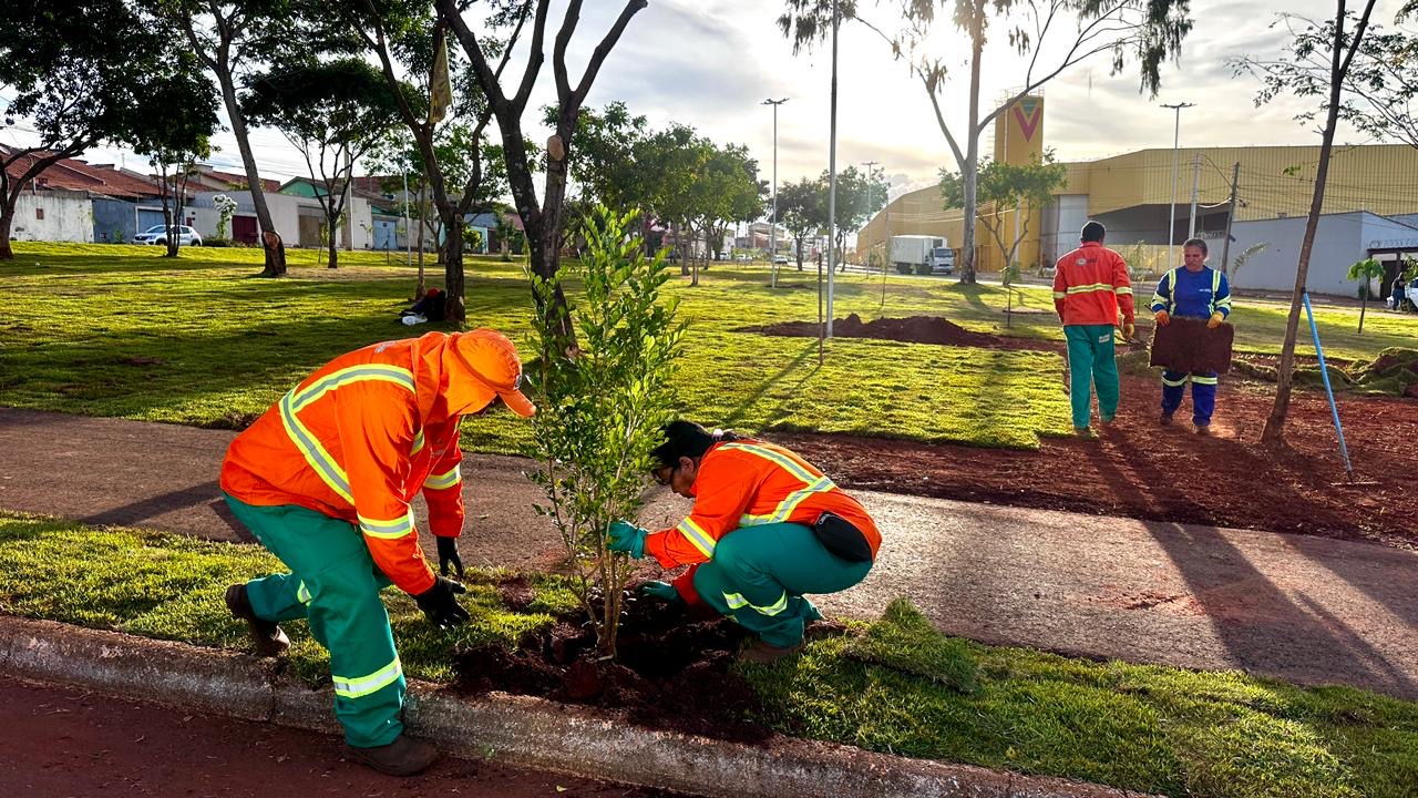Praça do Recanto do Bosque recebe novo paisagismo com quase 100 mudas